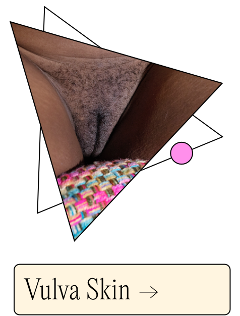 Vulva Skin